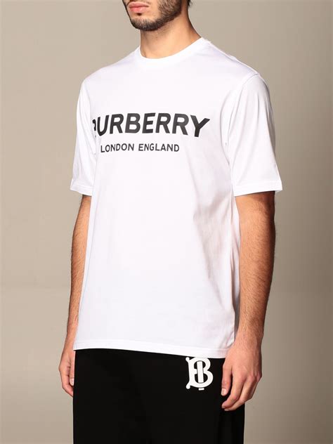 burberry men's white t shirt